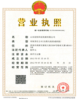 山東創(chuàng)恒科技營業(yè)執(zhí)照